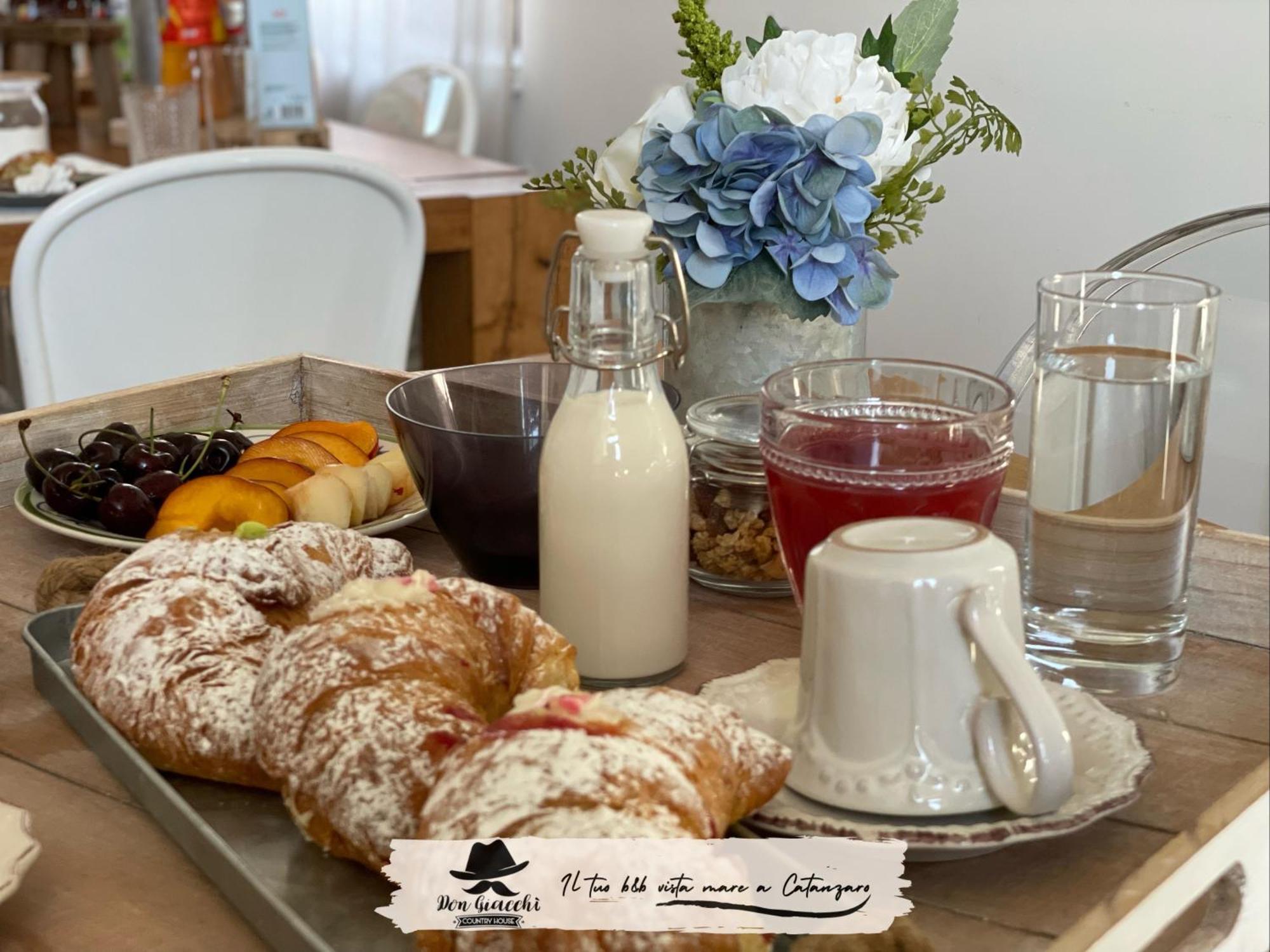 Don Giacchi Country House 卡坦扎罗 外观 照片