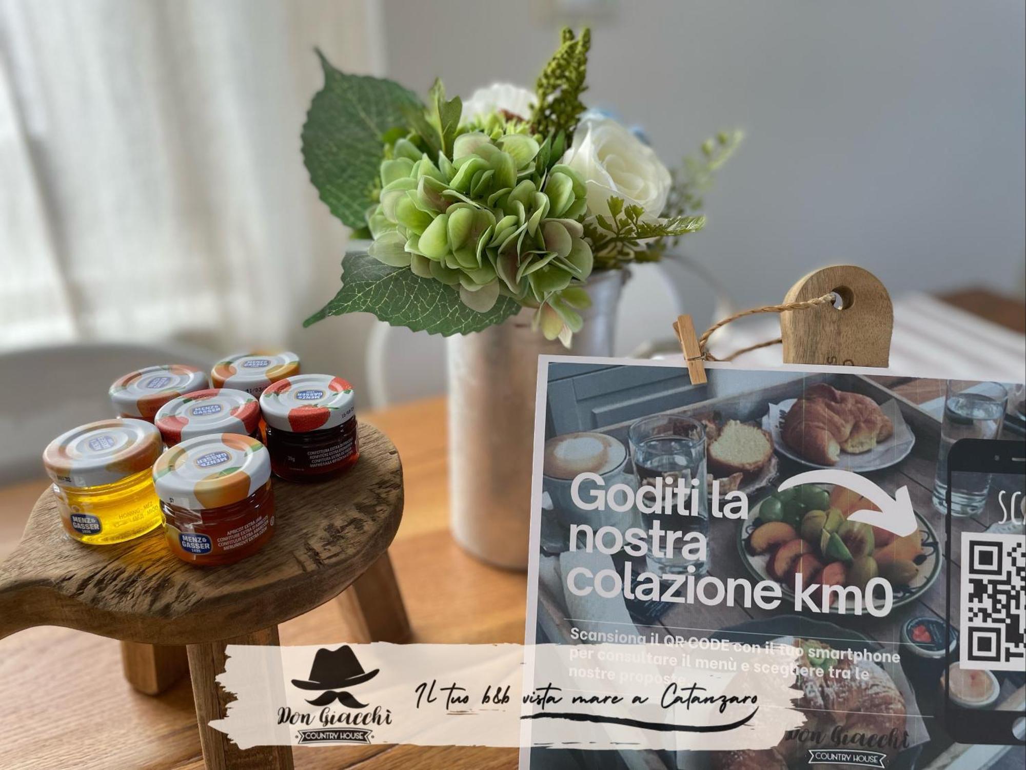 Don Giacchi Country House 卡坦扎罗 外观 照片