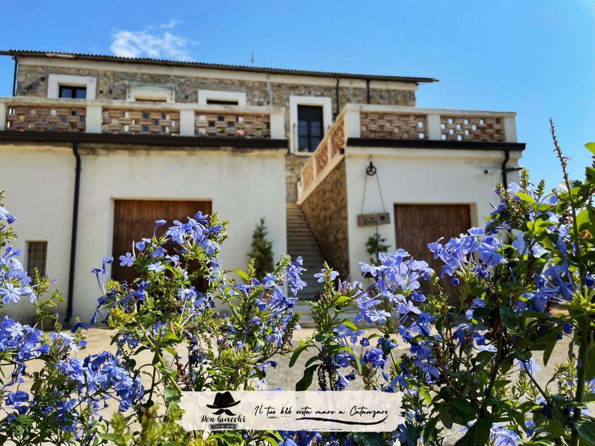 Don Giacchi Country House 卡坦扎罗 外观 照片